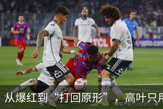 从爆红到“打回原形”，高叶只用了半年，终是步了张小斐的后尘