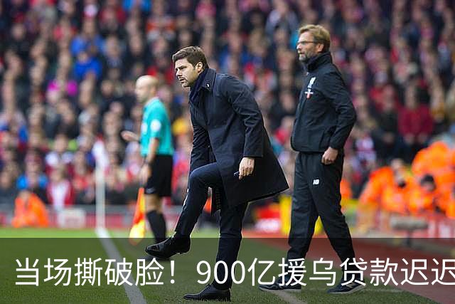 当场撕破脸！900亿援乌贷款迟迟未发，冯德莱恩：欧洲快被吸干了